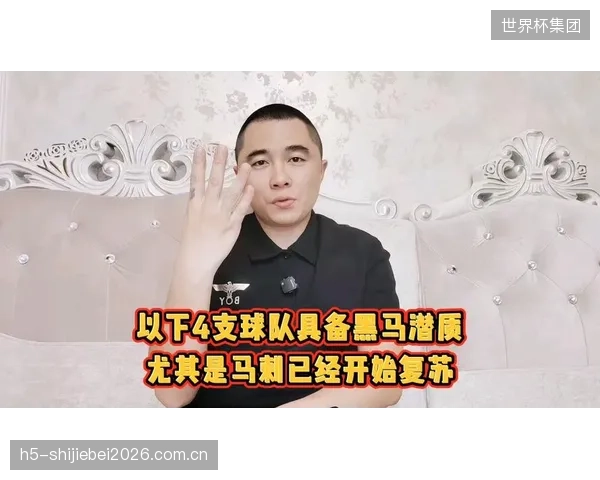 土耳其队具备成为黑马的潜质，但硬实力与顶级球队仍有差距。
